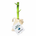 8" Lucky Bamboo Stalk in Natural Cotton Bag w/ Custom Plant Care Tag